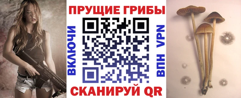 даркнет сайт Ленинск ссылка на мегу как зайти Галлюциногенные грибы MAGIC MUSHROOMS
